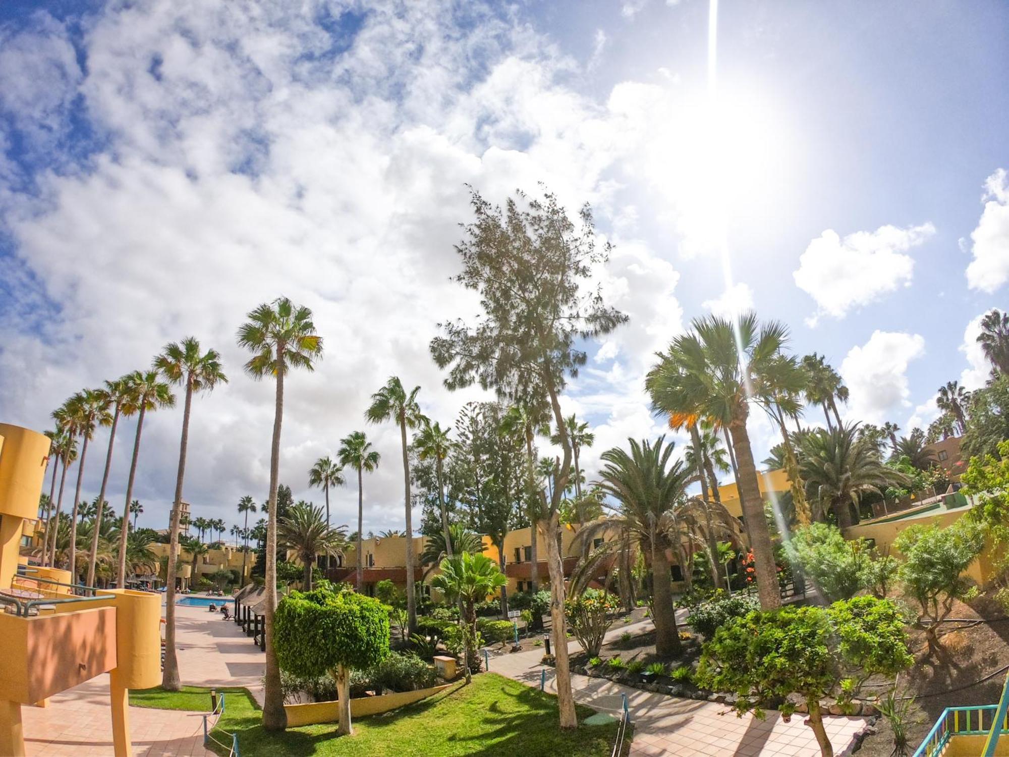 Drago 1 Atlantic Garden Apartment Corralejo Zewnętrze zdjęcie